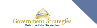 Government Strategies